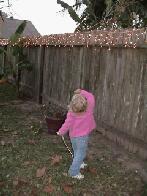Hanging Up Christmas Lights....