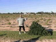 The Official Lumberjack....